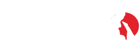 Judo – JuJitsu – Club Seynois – Club d'arts martiaux